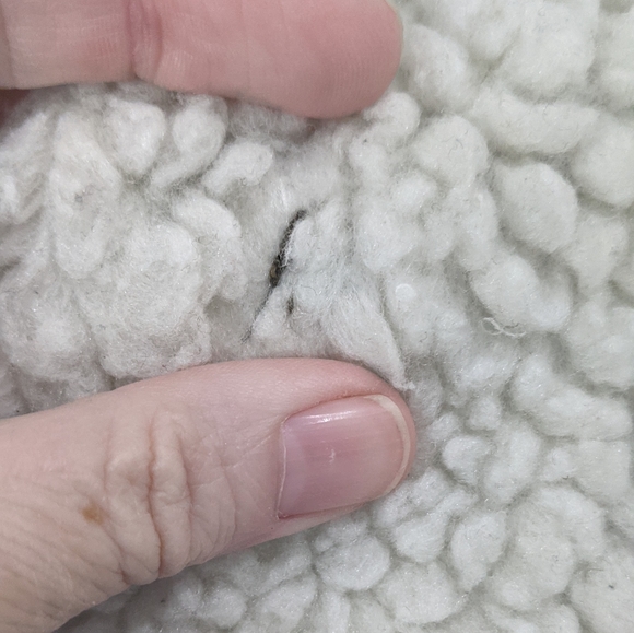 American Eagle Army Green Wool Bomber Coat - Picture 16 of 16